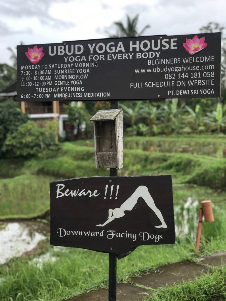ubud bali yoga vegan indonesia