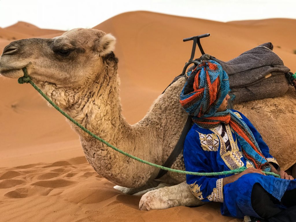 visit desert sahara maroc morocco merzouga camel tour