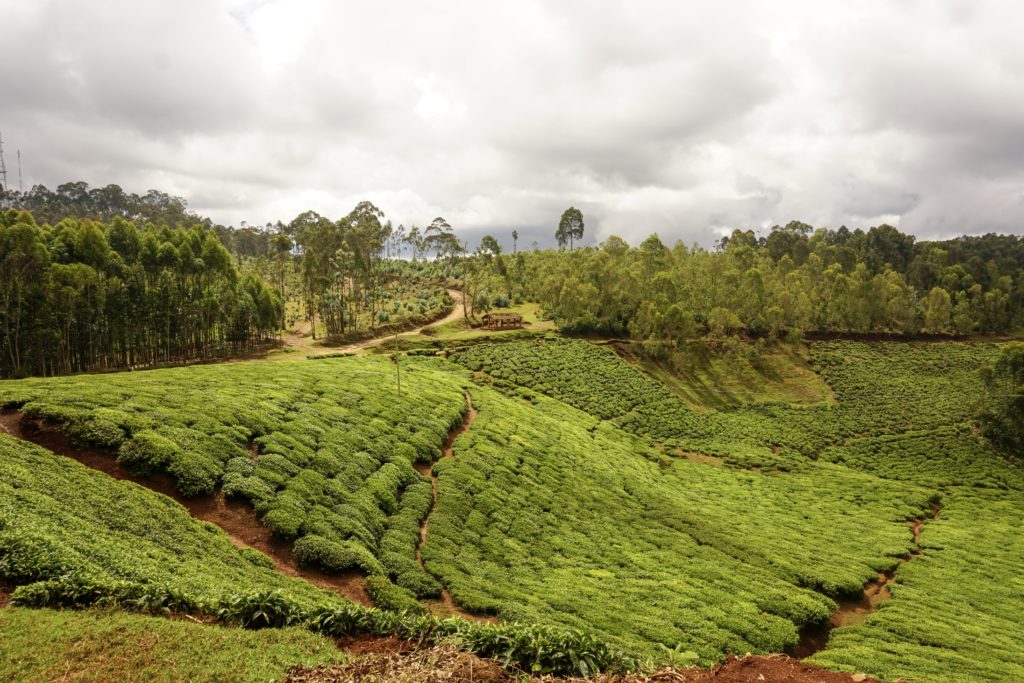rwanda kigali paysage